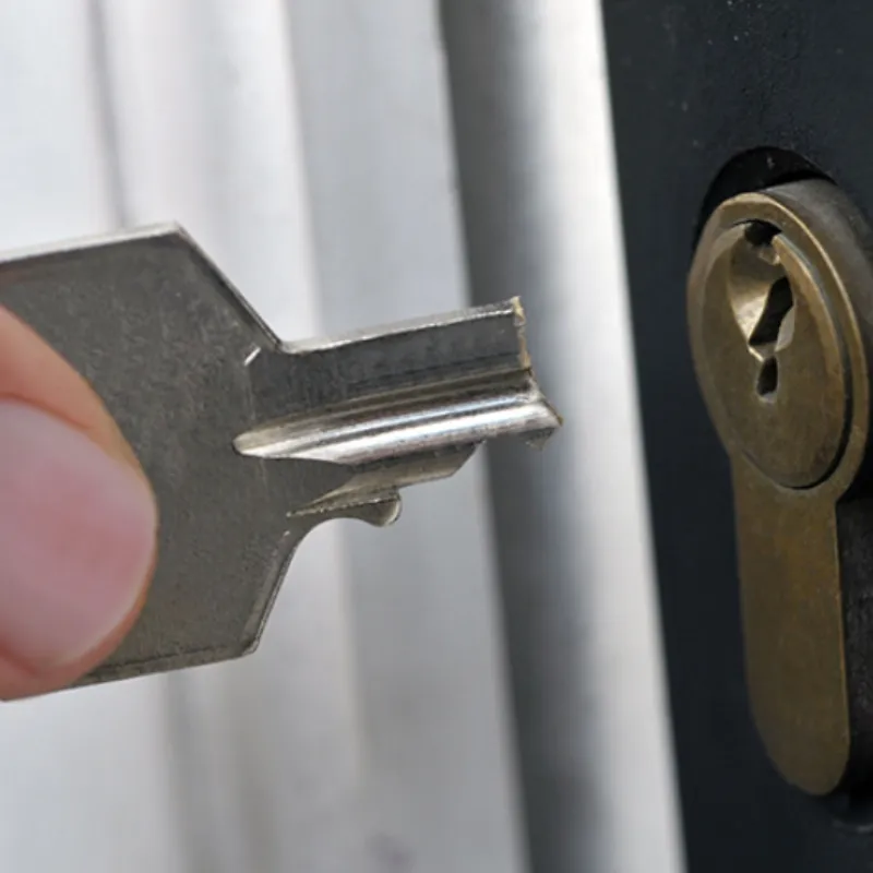 Why Mesa Homeowners Rely on Our Key Extraction Services
